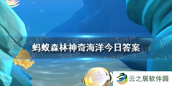 草莓海葵是一种什么类型生物   神奇海洋12月18日答案最新